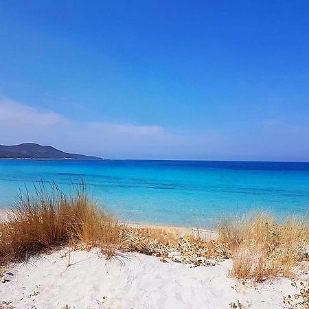 Appartement Vue Sur Mer Santa-Maria-di-Lota Esterno foto