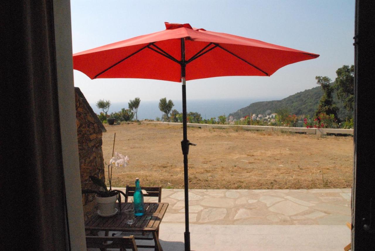 Appartement Vue Sur Mer Santa-Maria-di-Lota Esterno foto