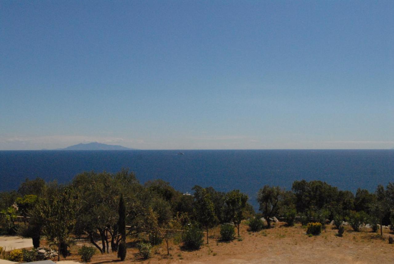 Appartement Vue Sur Mer Santa-Maria-di-Lota Esterno foto