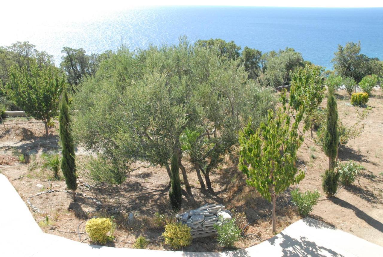 Appartement Vue Sur Mer Santa-Maria-di-Lota Esterno foto