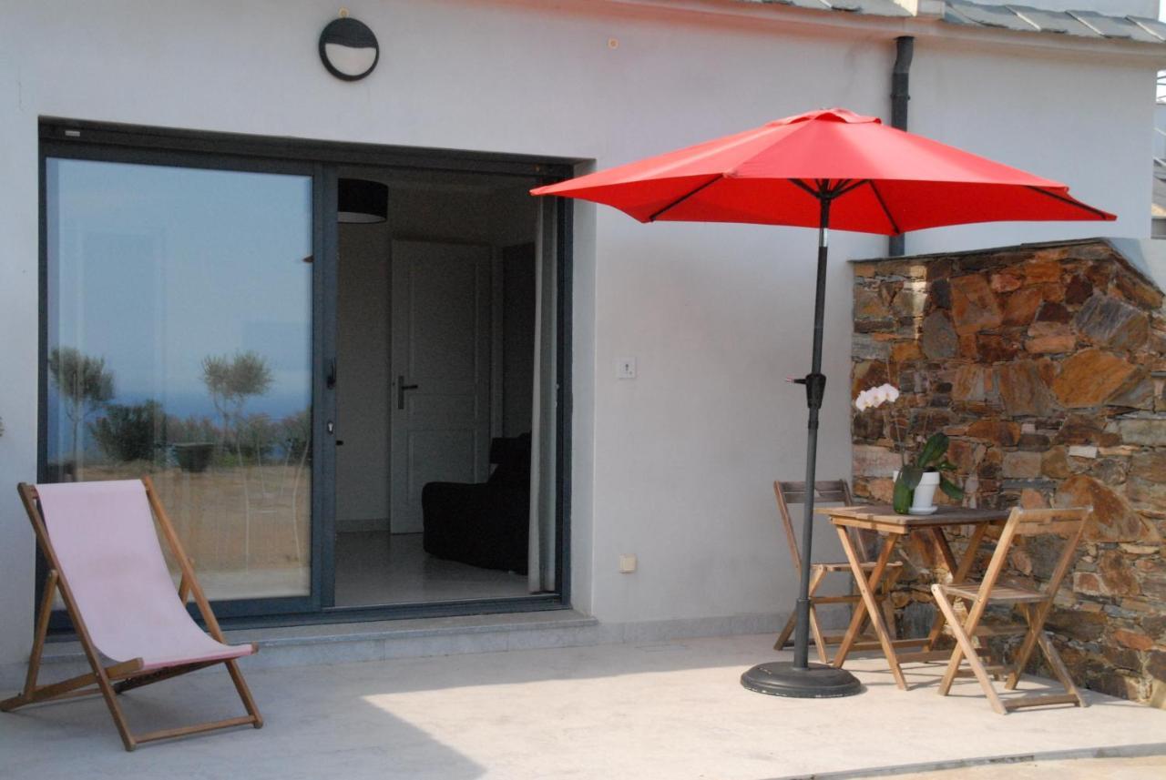 Appartement Vue Sur Mer Santa-Maria-di-Lota Esterno foto