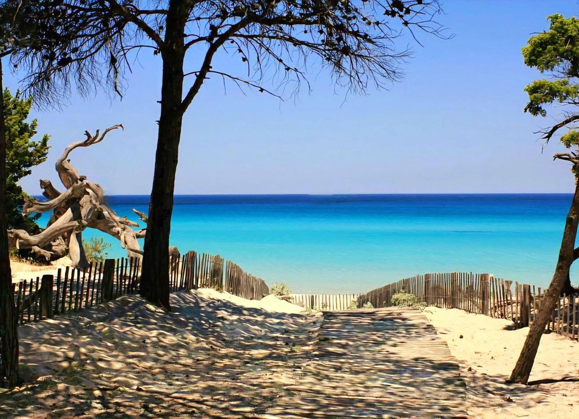 Appartement Vue Sur Mer Santa-Maria-di-Lota Esterno foto