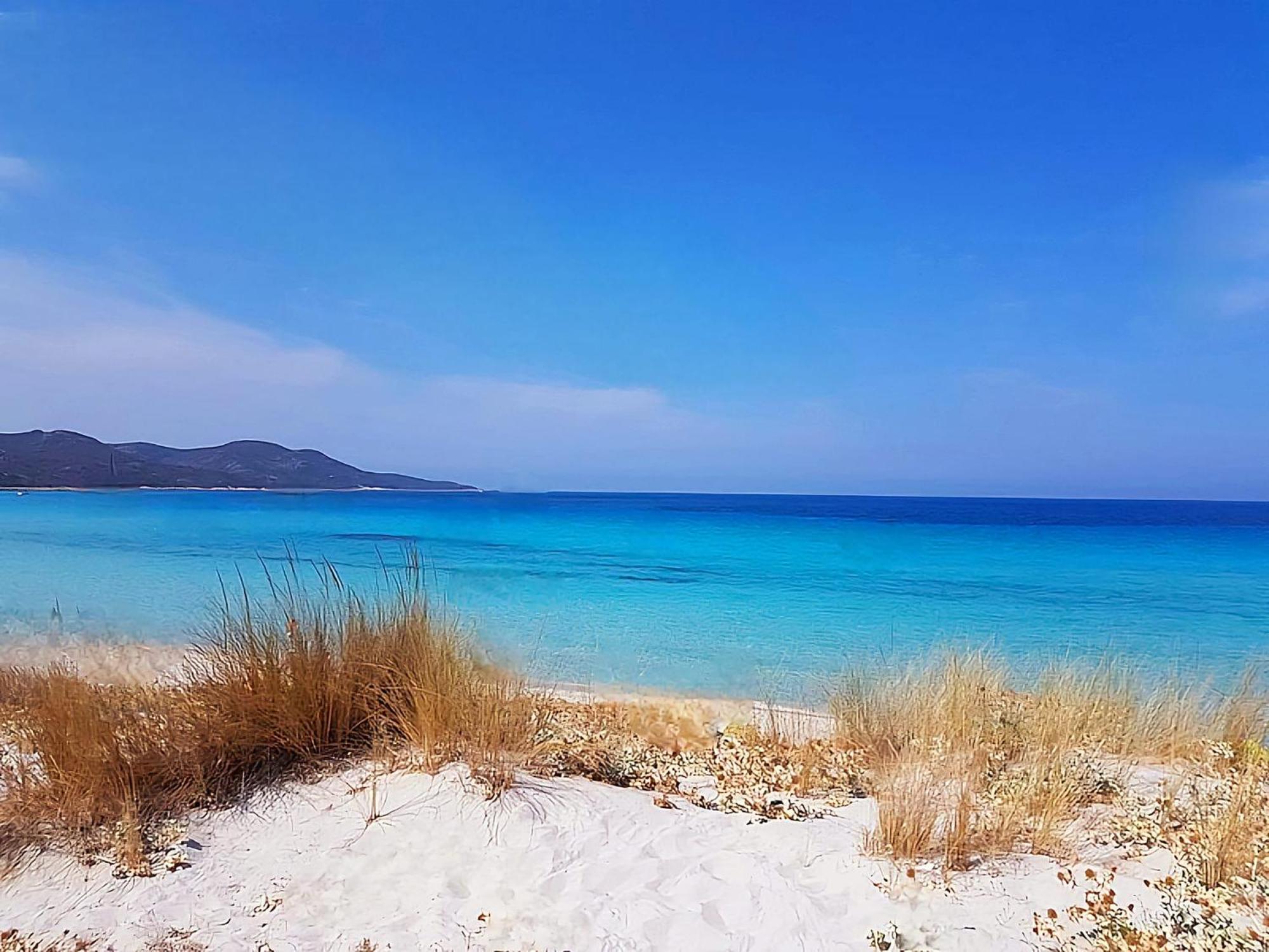 Appartement Vue Sur Mer Santa-Maria-di-Lota Esterno foto
